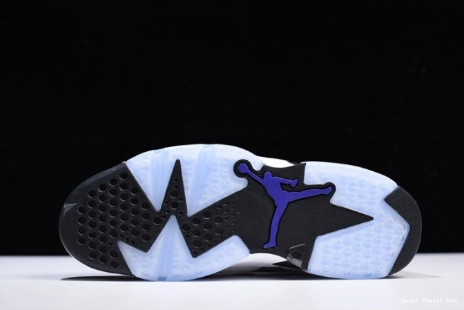 Jordan 6 Grey Flint CI3125-100 Air 0801